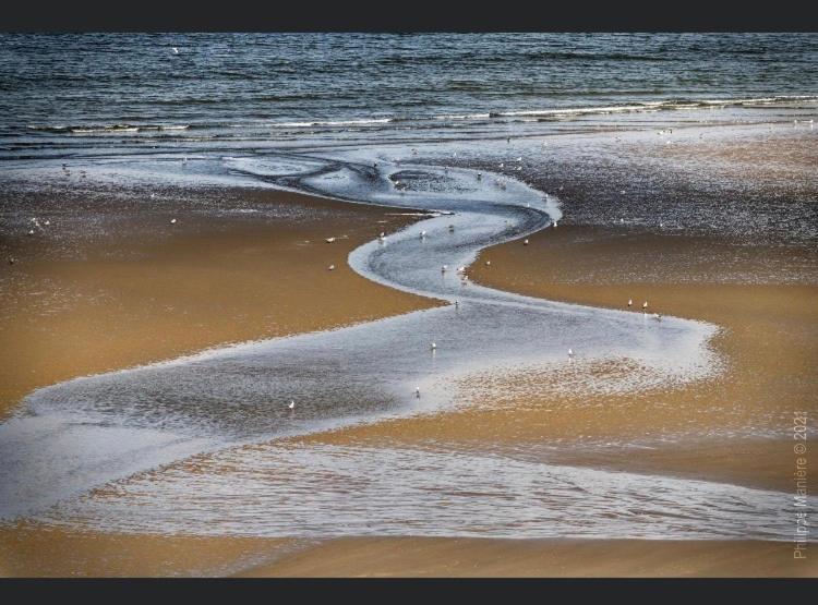 La Margaret Face Mer Equihen-Plage Luaran gambar