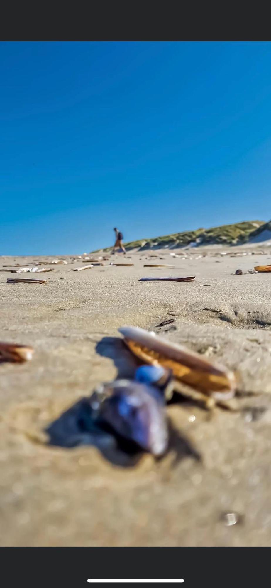 La Margaret Face Mer Equihen-Plage Luaran gambar